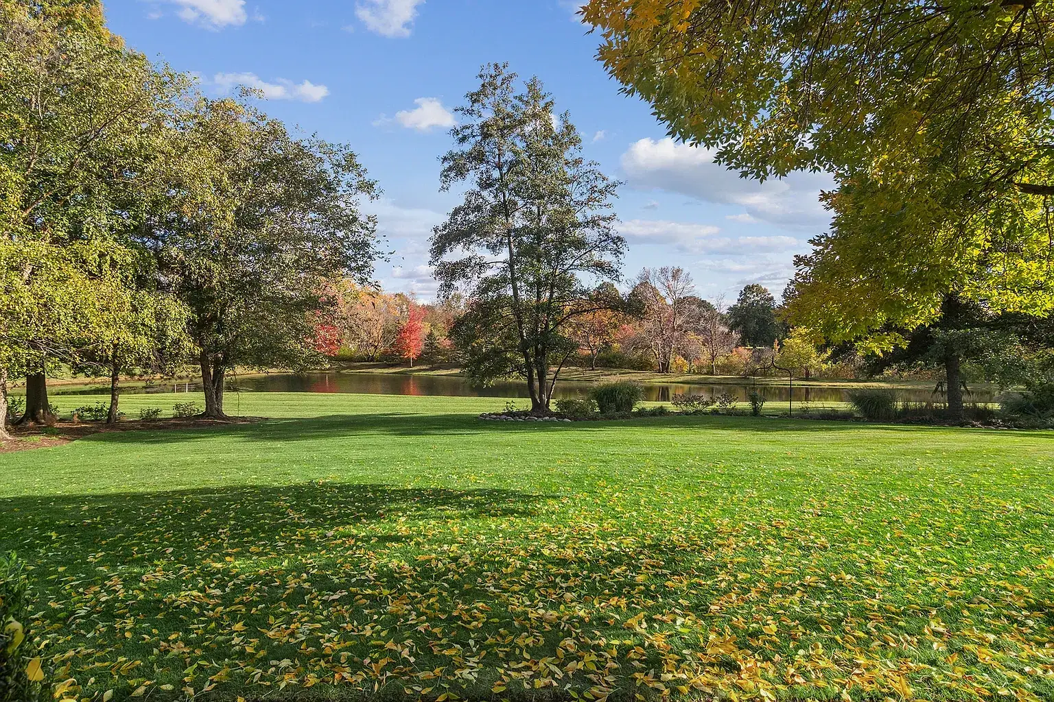 Open back lawn under autumn trees with the pond beyond